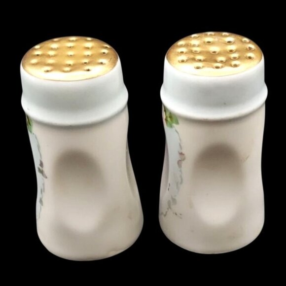 Vintage Bavaria Cameo Rose Hand-Painted Porcelain Salt & Pepper Shakers - Picture 3 of 6